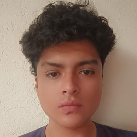 User Image