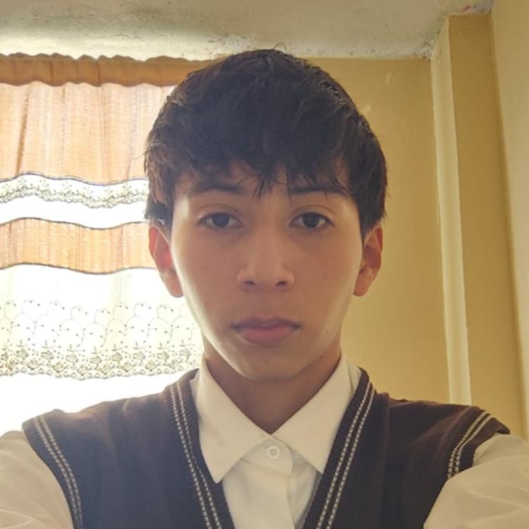 User Image