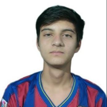 User Image