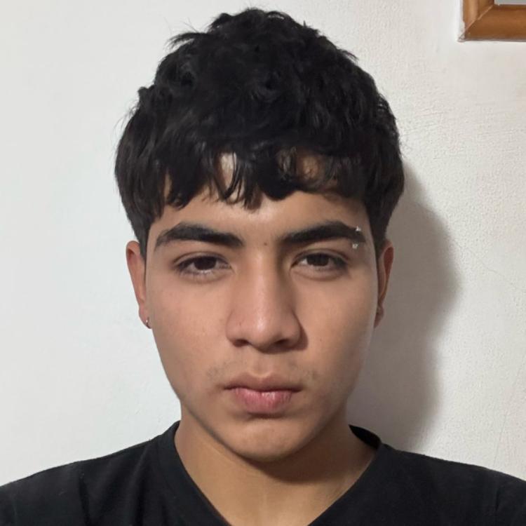 User Image